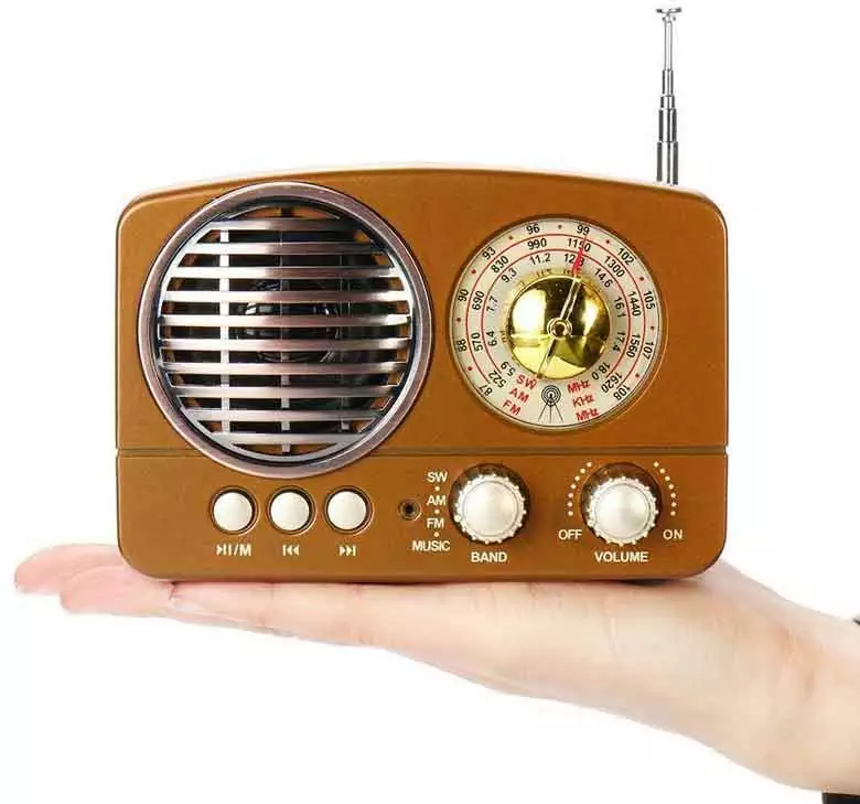 LEORY BT888